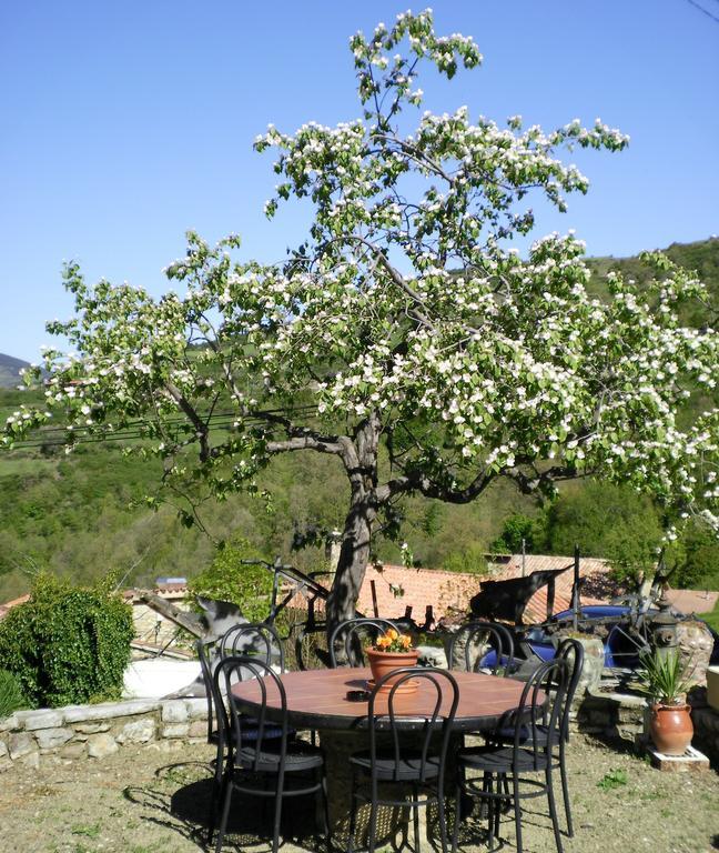 Hostal Moliné Bruguera Extérieur photo